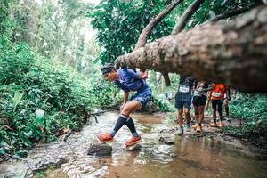 BIB: 
                            <button type="button" onclick="openModal(25374484)" class="btn btn-primary btn-sm float-right btn-popup" data-toggle="modal" data-target=".modal-high-quality">
                        <i class="fas fa-shopping-cart"></i> Add to Cart
                    </button>
                                            <button type="button" onclick="isThisMe(25374484, true)" class="btn btn-success btn-sm float-right btn-popup btn-isme hidden" data-toggle="tooltip" data-placement="bottom" title="นี่คือรูปของคุณใช่ไหม คลิกที่นี่เพื่อเอาเข้าอัลบั้ม">
                        <i class="fas fa-plus"></i> Add to album
                    </button>
                    <button type="button" onclick="isThisMe(25374484, false)" class="btn btn-warning btn-sm float-right btn-popup btn-isnotme hidden">
                        <i class="fas fa-ban"></i> Remove from album
                    </button>